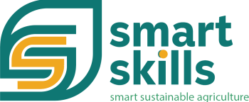 Logo Smart Skills